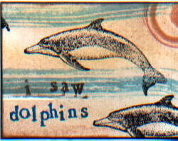 3 good things-I saw dolphins
